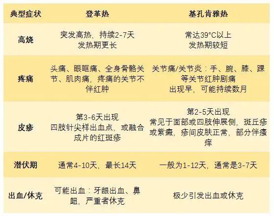 基孔肯雅热暴发 到底有多难受