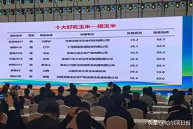 哈尔滨农科院培育的两种玉米，荣获全国“十大好吃玉米”称号图片