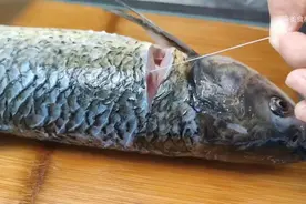 炖鱼时，只放葱姜蒜就错了，多放2味料，保证无腥味，鱼肉更鲜美图片