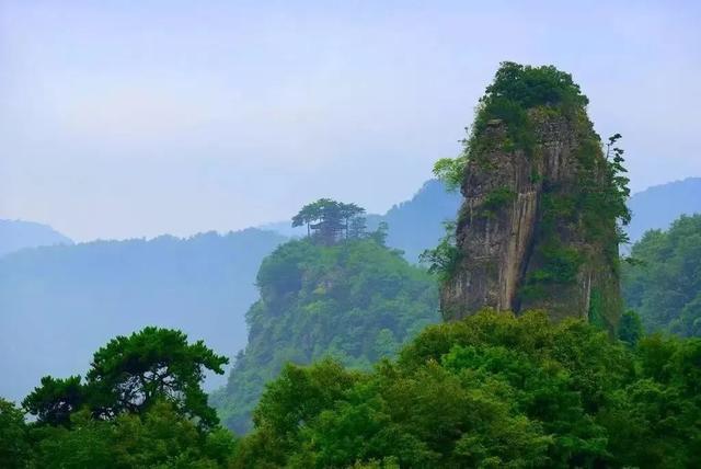 坐高铁游广元 | 今年夏天，为什么一定要宿进曾家山？