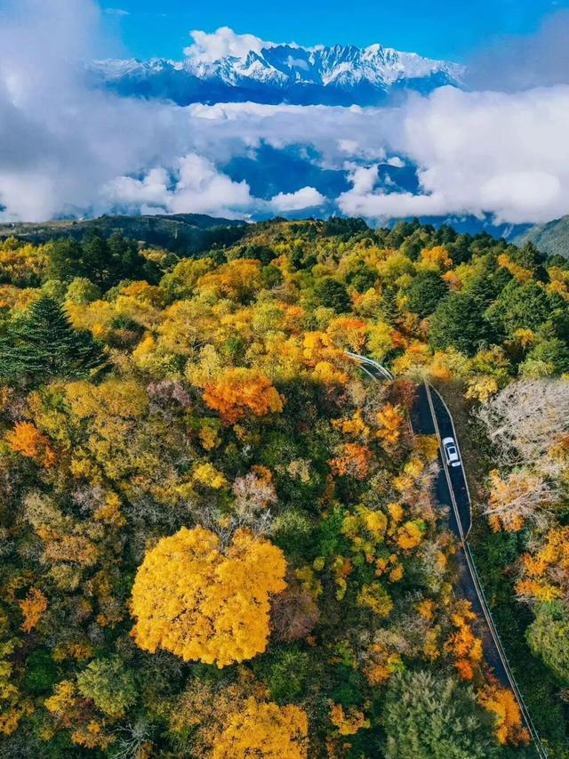 秋假福利持续至本周末！免票游雅安的快乐要一接再接！