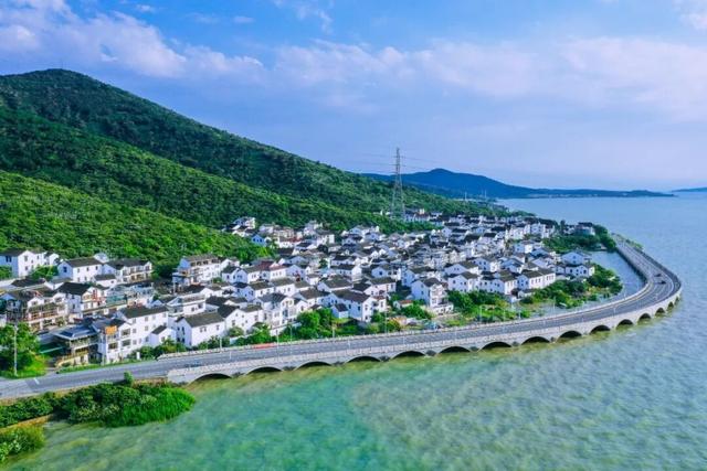 真的很美！2025苏州太湖观鸟超详细攻略来啦！