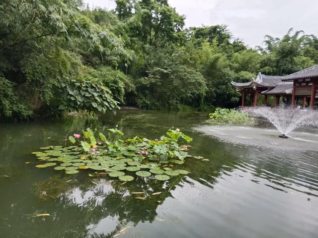 贵州旅游印象(二)