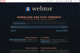 磁力链接bt链接转直链IDM下载图片