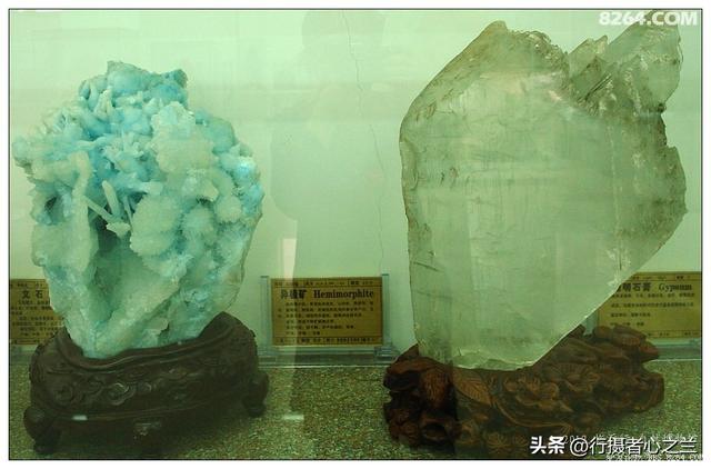 山东行游影记（31）—平邑天宇自然博物馆（六）