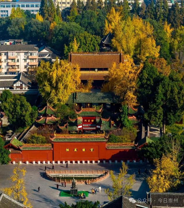 旅游专线即将发车！限量88位