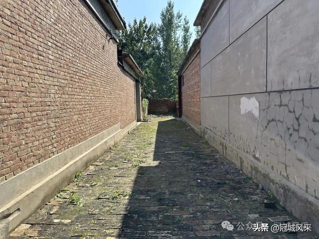 冠县乡韵·兰沃乡大柳邵村