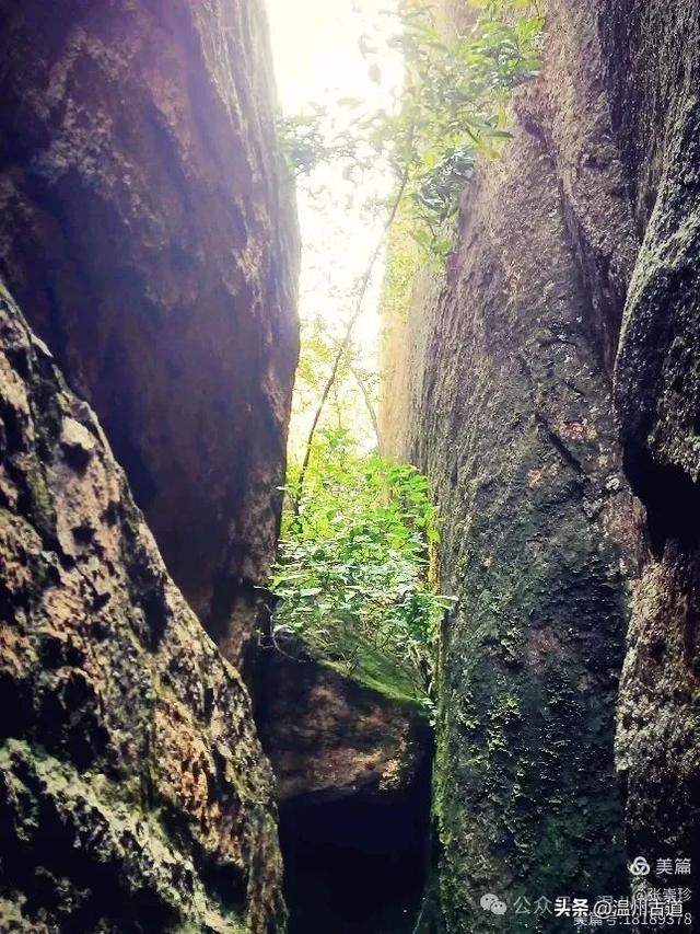 大罗山这条改造过的登山步道你可去过?