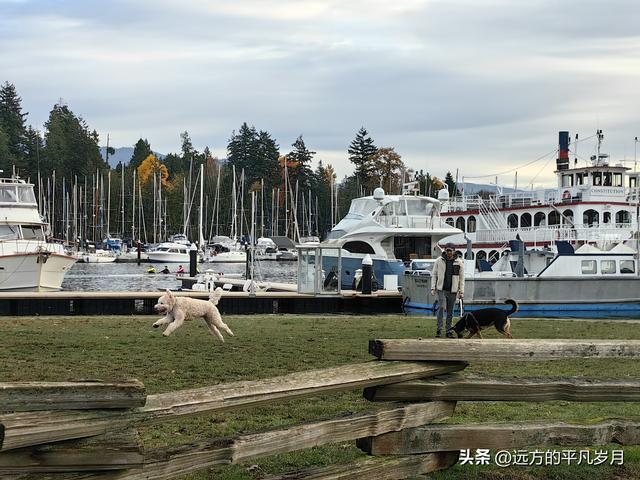 温哥华游记（一）