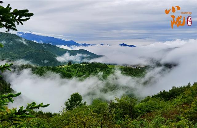 【联动宣传】甘南舟曲：苍茫云海间 毓秀拉尕山