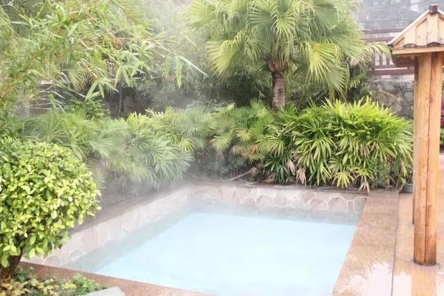 “冬养罗浮”康养品牌发布！在引领区过冬是怎样一种体验？