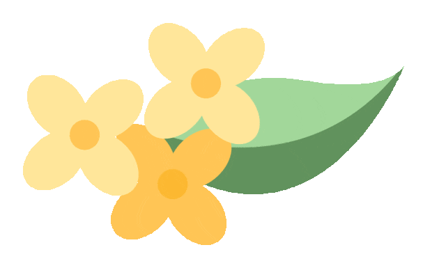 满城甜香，速赏桂花！莫要错过这迟来的秋日芬芳