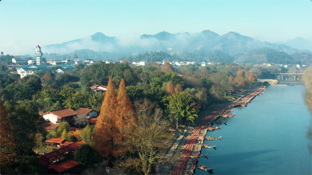 武夷山的“彩叶营业季”，美得正当时！