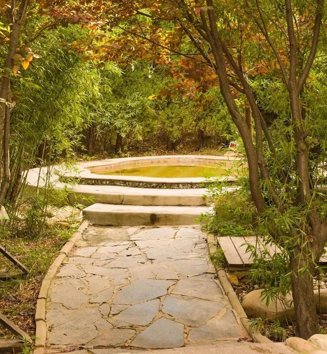 天冷了，到山东这里“泡”着