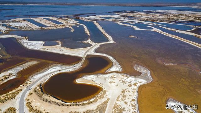 “大雪”时节的景泰盐沼湿地