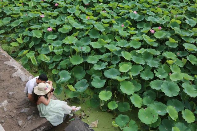 【文明旅游】太原：难老泉润稻荷香