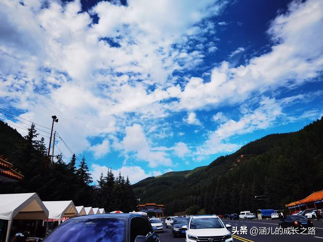 总要去趟草原吧！自驾塞罕坝和乌兰布统超简攻略（附图超全）