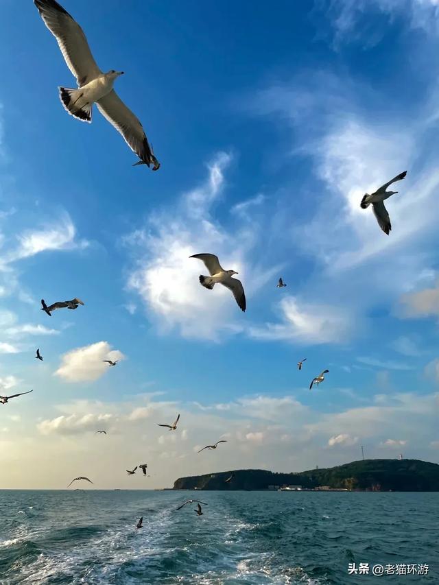 盛夏只有25℃的海边小城，高铁1.5小时直达，人均800元3天吃海鲜