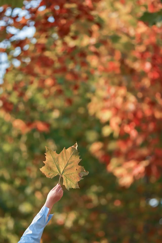 20个点位已公布！张家港人拍照请抓紧