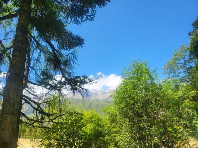 黄龙一日行，偶遇山间好物，沉醉五彩瑶池