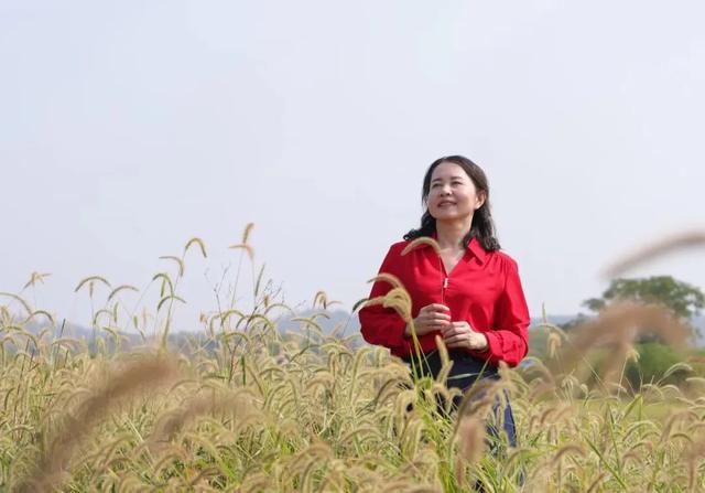 稻香居：她用一院的热爱，唤醒沉睡的故乡