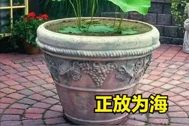 家里的“水缸”，千万别再随意摆放了，居然有这么多讲究！图片