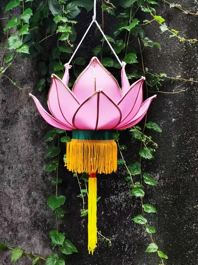 本周末，苏州为荷花“庆生”