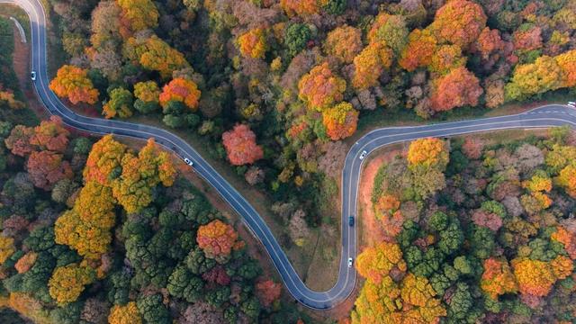 日均2万人次！广元旺苍米仓山红叶迎来了最佳观赏期