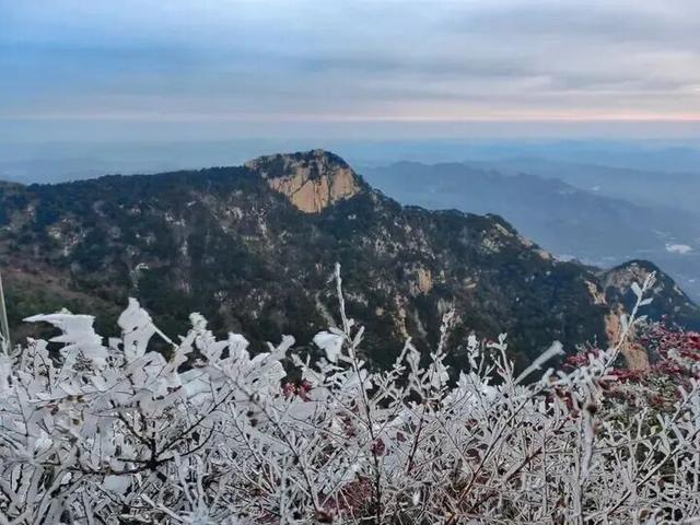 山东冬日奇观即将陆续上演，冰雪里的自然史诗等你解锁！