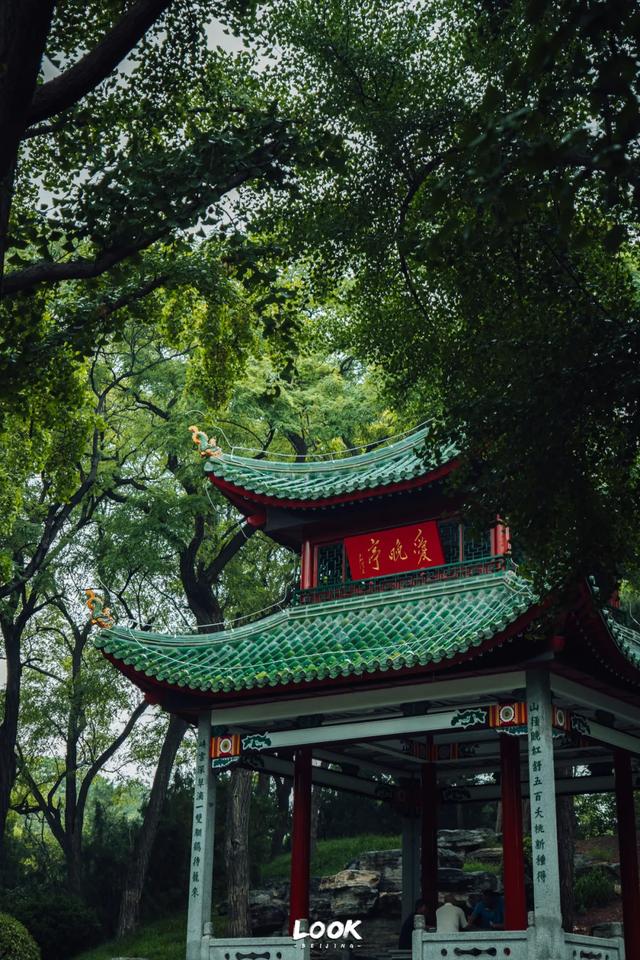 夏天来北京，就为了逛这座公园