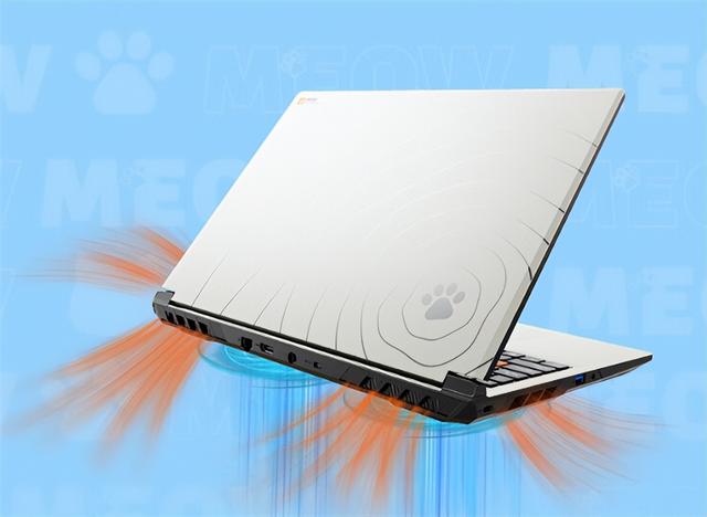 七彩虹MEOW R16 Pro游戏本国补价5279元起：顶配满血RTX5070