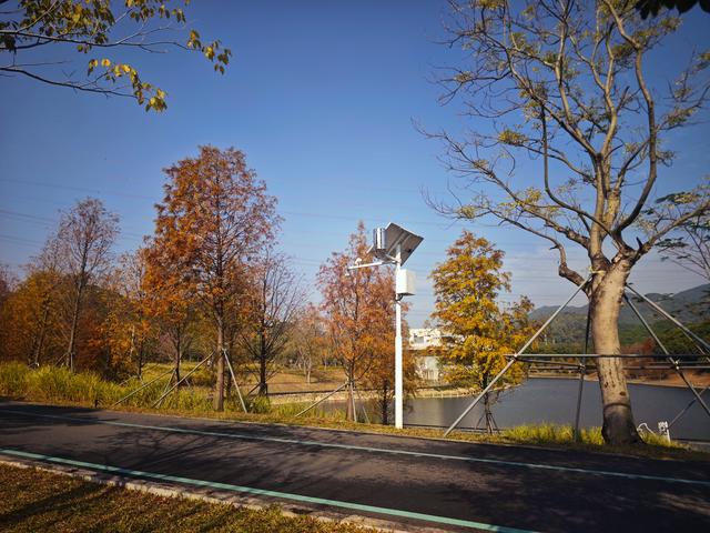 西丽湖绿道骑行随拍