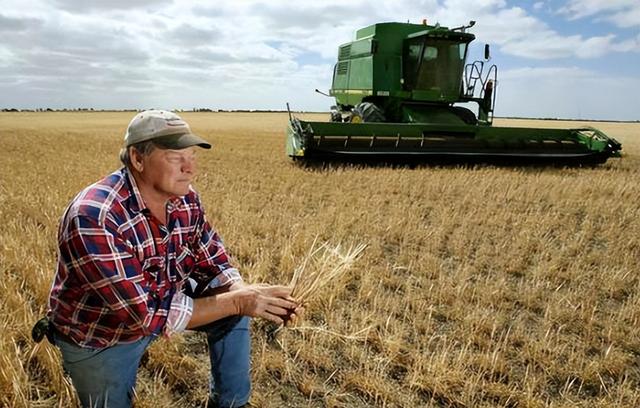日韩上演争“爸”赛？ 同时宣布大豆紧缺，拟定采购美国大豆！