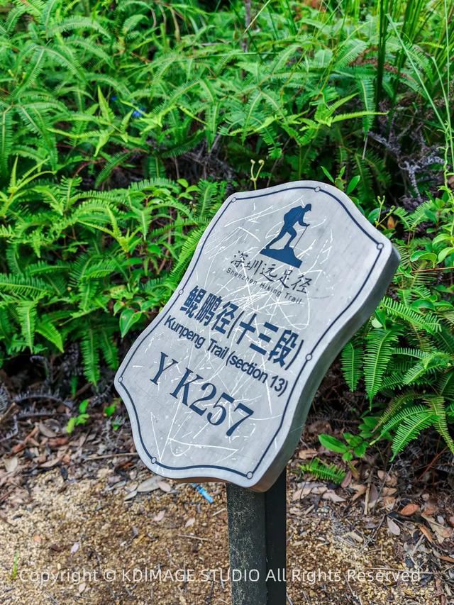 深圳徒步!超适合新手小白的3条郊野径路线,地铁公交直达还免费