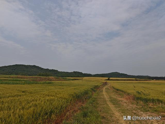 隔壁的城市走一走——镇江丁岗五七林场