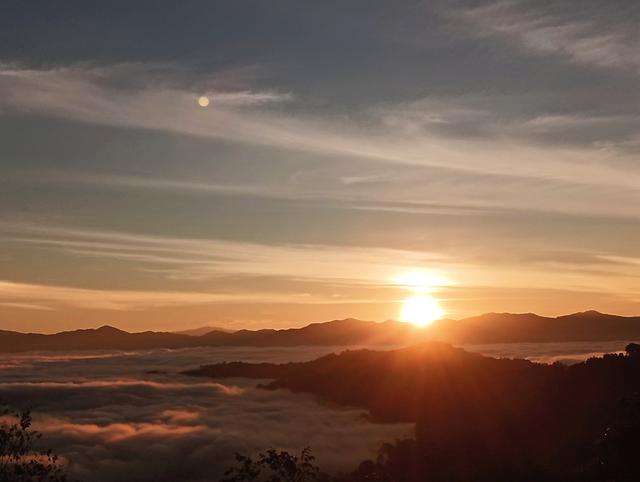 景迈山避世之旅，云端上的茶香秘境——西双版纳普洱游记之三