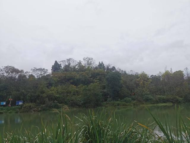 遵义新蒲：沙滩旧景有“花山”