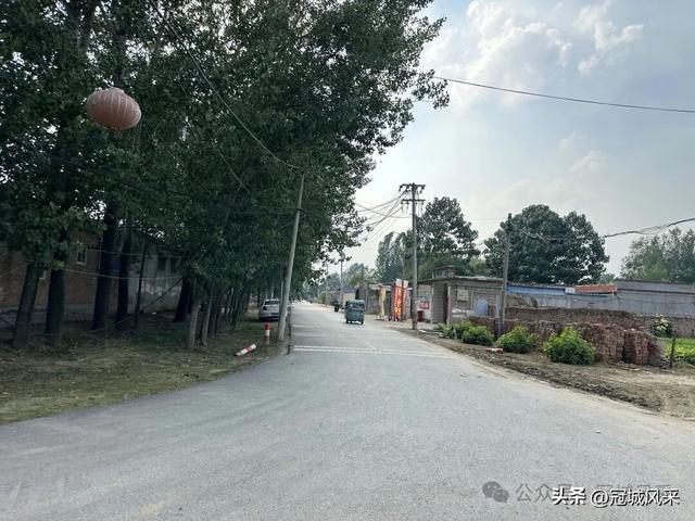 冠县乡韵·辛集镇丁刘八寨