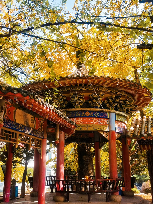 《长沙秋韵地图》发布！这抹限定绚烂，再不去就晚了