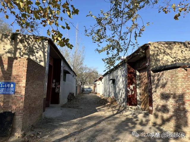 冠县乡韵·贾镇岑庄