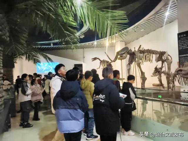 【乐享烟台】烟台自然博物馆:“五美融育”绘就“仙境海岸·最美博馆”