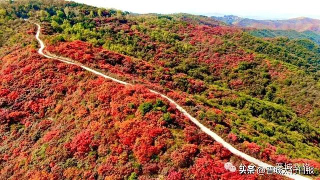 刷屏了！晋城“新顶流”！