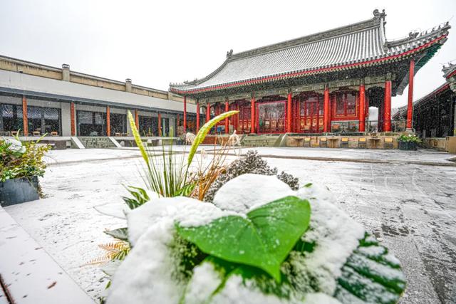 下了!下了!快来东城赏雪吧!