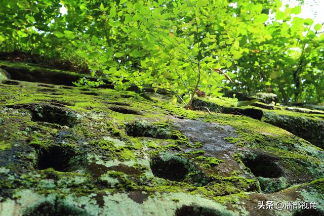 巴蜀石刻：寻访广安岳池坪滩东岩寺摩崖造像