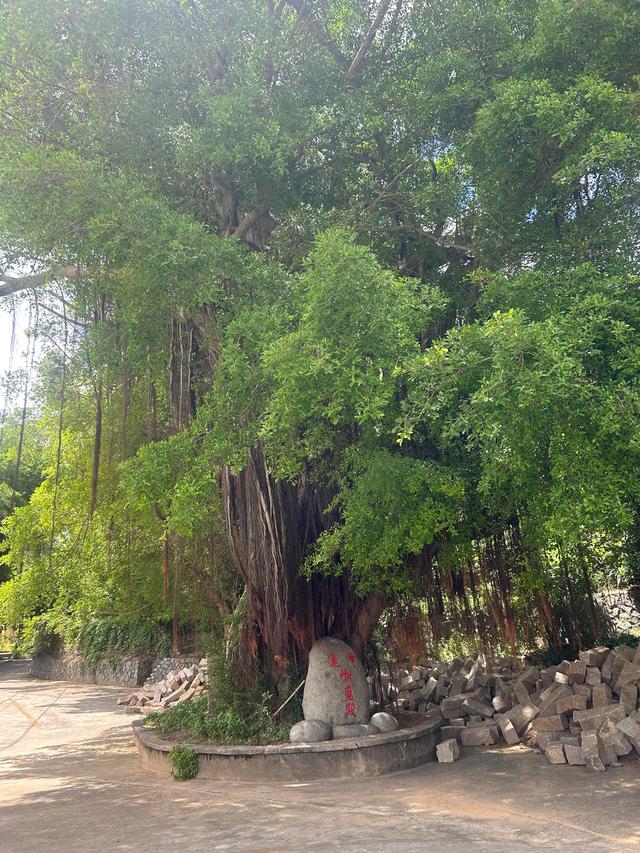 长乐沙京龙泉禅寺