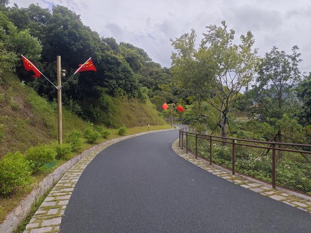 西丽湖国际科教城绿道高清随拍