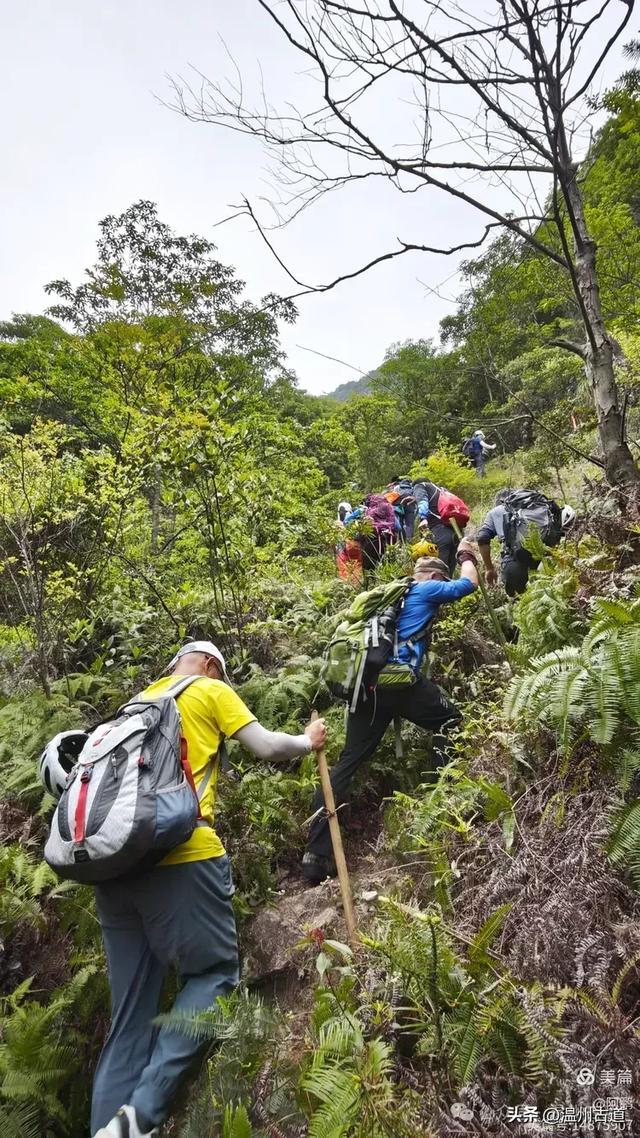 雁荡山百岗尖显胜门穿越,这条风光绝美的经典徒步线路你可去过