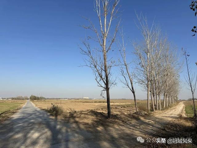 冠县乡韵·贾镇岑庄