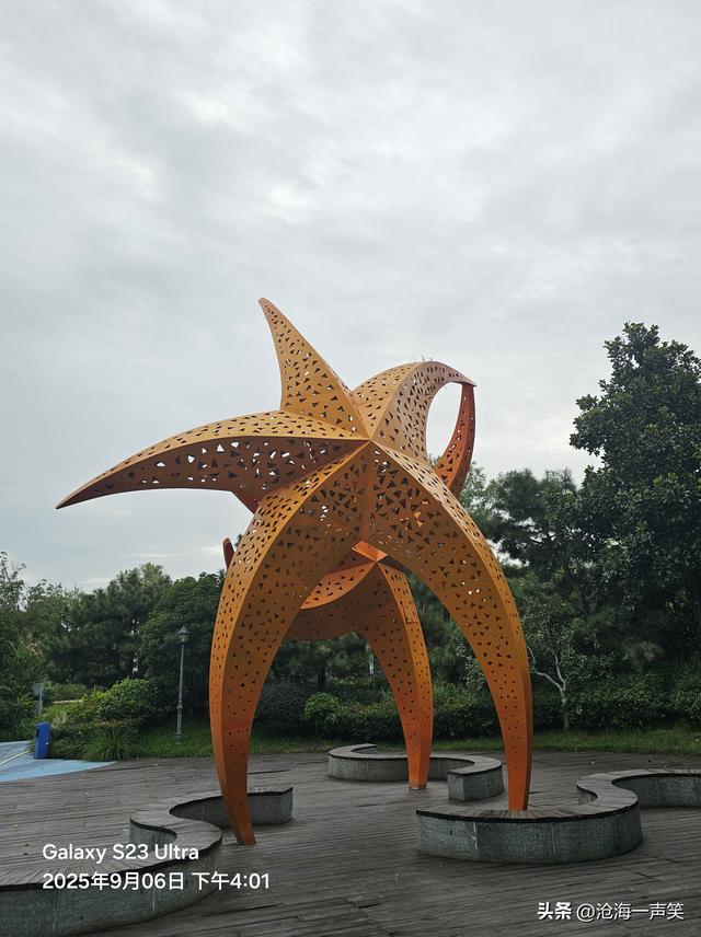 河南哪里看海星，园博园青岛园，秋色染枝头，秋景酿心中