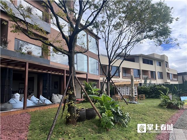 滇池朋友圈·绿道经济带丨“民宿+”的新消费场景正在海晏村形成